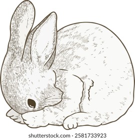 Cute rabbit vector illustration series 8. Vintage hand drawn style