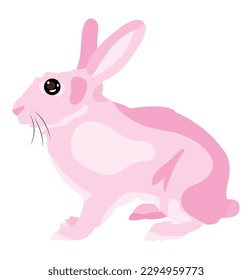 Cute rabbit vector image or clipart