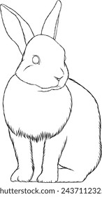 Cute rabbit, vector outline illustration in realistic style. Coloring book page