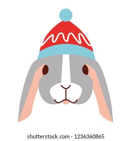 cute rabbit with warm hat christmas