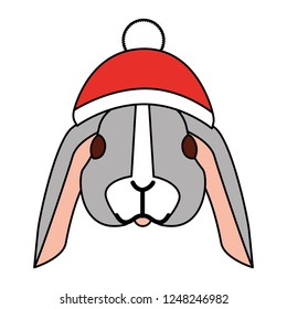cute rabbit with warm hat christmas