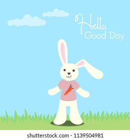 Cute Rabbit wear T shirt standing on Green Grass.