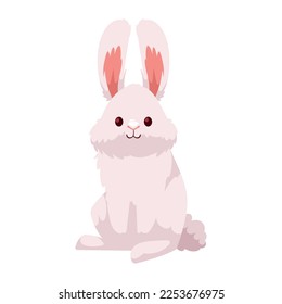 cute rabbit white farm animal