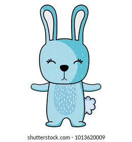 cute rabbit wild animal of the forest