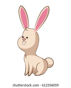 cute rabbit wildlife image