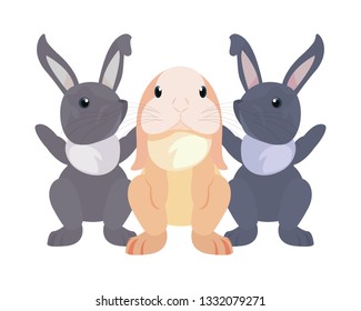cute rabbits cartoon