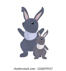 cute rabbits cartoon