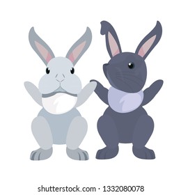 cute rabbits cartoon