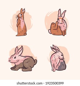 Cute rabbits collection design, Animal life nature and character theme Vector illustration