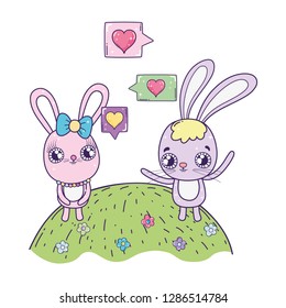cute rabbits couple valentines day