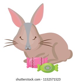 cute rabbits design