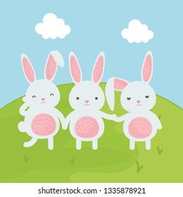 cute rabbits in the field