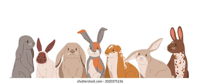 Cute rabbits and hares with long ears isolated on white background. Banner with border of sweet farm animals. Group portrait of different happy funny bunnies. Flat vector illustration