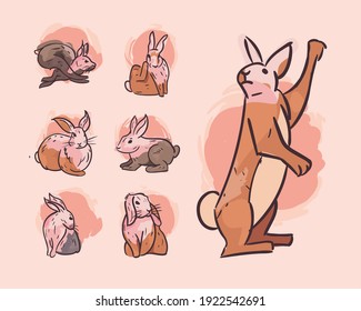 Cute rabbits icon set design, Animal life nature and character theme Vector illustration