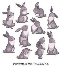 Conjunto de conejos cortos de iconos aislados con conejos grises similares en diferentes poses sobre ilustración vectorial de fondo en blanco