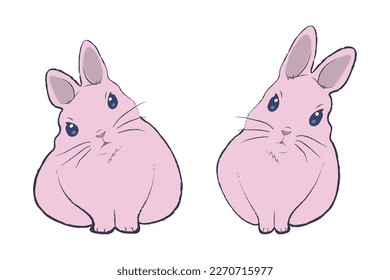 Cute rabbits.vector illustration on a white background
