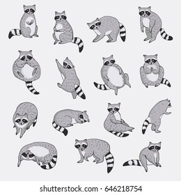 Cute raccoon animal doodle hand drawn vector illustrations set