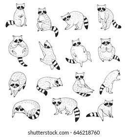 Cute raccoon animal doodle hand drawn vector illustrations set