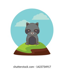 cute raccoon animal in landscape natural