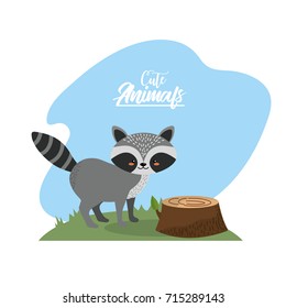 cute raccoon animal to natural wildlife