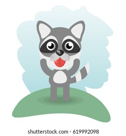 cute raccoon animal wildlife