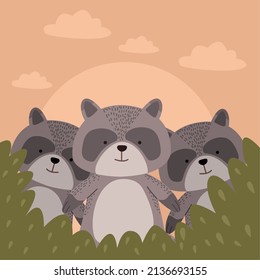 cute raccoon animals in landscape