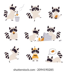 Cute Raccoon Character with Ringed Tail Holding Cookie and Digging in Dustbin Vector Set