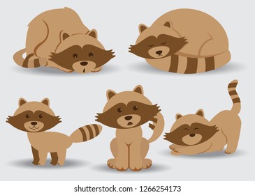 cute raccoon characters