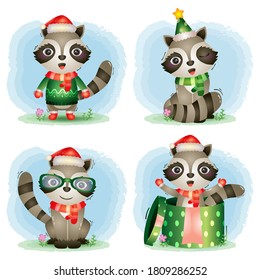a cute raccoon christmas characters collection with a hat, jacket, scarf and gift box