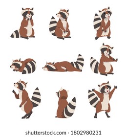 Cute Raccoon Collection, Adorable Wild Forest Animal Cartoon Character in Various Poses Vector Illustration