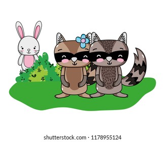 cute raccoon couple and rabbit in the bush