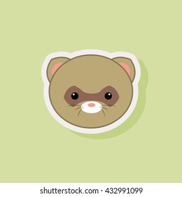 Cute Raccoon Face