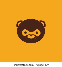 Cute raccoon Face