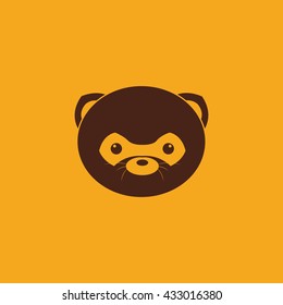 Cute Raccoon Face