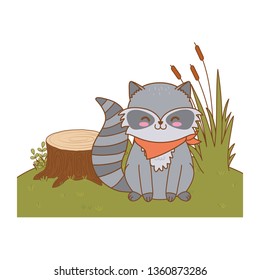 cute raccoon in the field woodland character