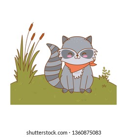cute raccoon in the field woodland character