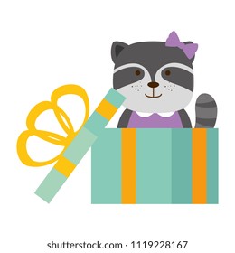 cute raccoon in gift character icon