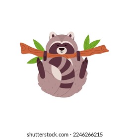 Cute raccoon hanging on tree branch, flat cartoon vector illustration isolated on white background. Funny cute raccoon mascot playing on tree in forest.