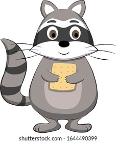 cute raccoon holds cracker cookie in its paws