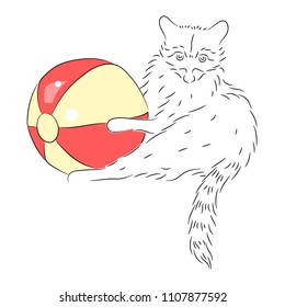 Cute raccoon with an inflatable ball. Summer