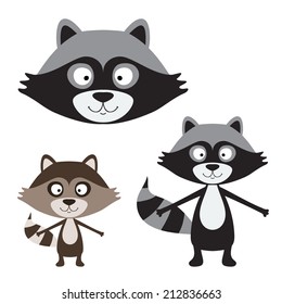 Cute raccoon isolated