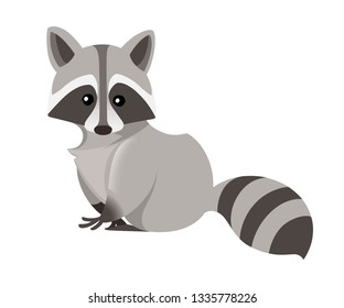 Cute raccoon. North American raccoon, native mammal. Cartoon animal design. Flat vector illustration isolated on white background. Forest inhabitant. Wild animal with grey fur.