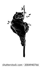 Cute raccoon on branch. Black silhouette of the raccoon on white background. Graphic drawing. Vector illustration.