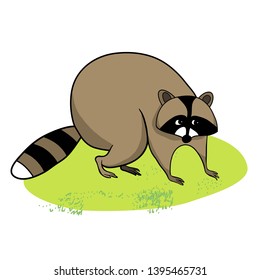 Cute raccoon on green grass, cartoon character raccoon, pet, drawing, color image, vector outline drawing, for children
