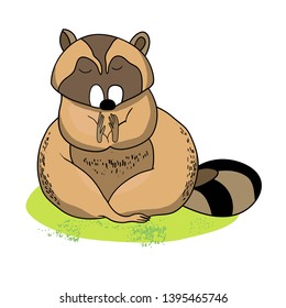 Cute raccoon on green grass, cartoon character raccoon, pet, drawing, color image, vector outline drawing, for children