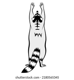 Cute raccoon on hind legs . The animal racoon  requests cuddle and snuggle. Black and white linear paint drawn. Vector illustration isolated on a white background. Design for t-shirts, posters.