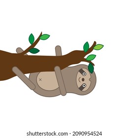 Cute raccoon on tree branch. Green leaves. Posing animal. Cartoon forest inhabitant. Vector illustration. Stock image.
