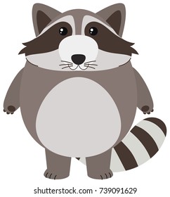 Cute raccoon on white background illustration