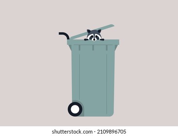 A cute raccoon peeking out from a garbage can