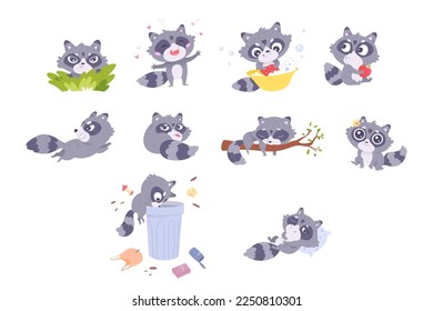 Cute raccoon poses set vector illustration. Cartoon isolated funny racoon character eating apple, holding hearts and smiling with love, wild forest or zoo animal with tail, paw and fur sleeping